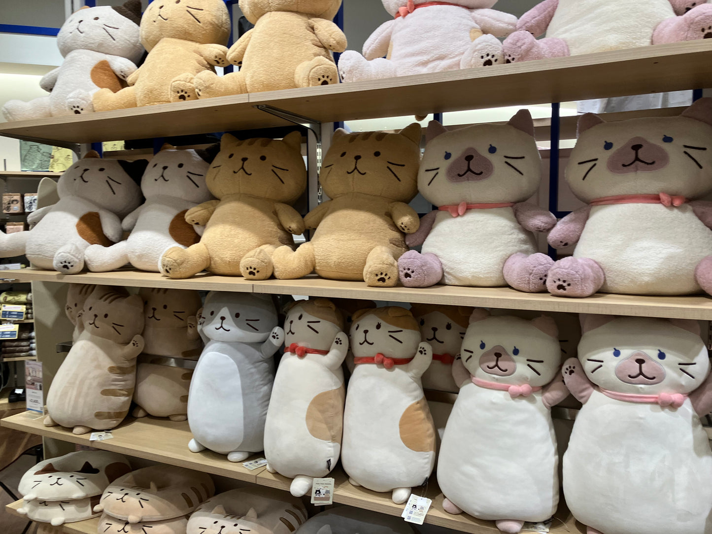 🔴(代購)HAPiNS Fuku Fuku Nyanko大娃娃