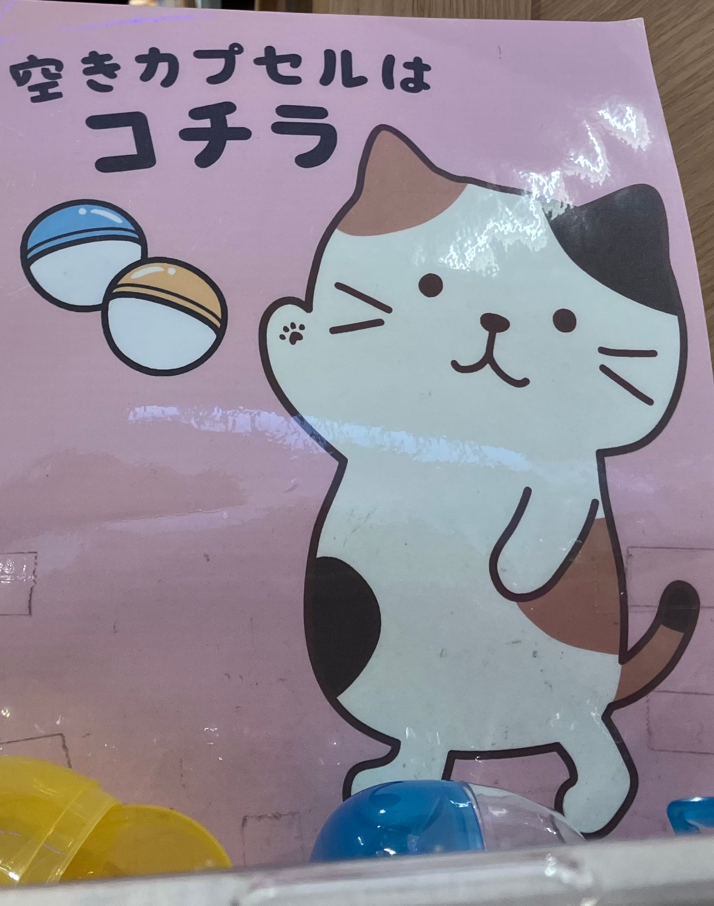 🟢HAPiNS可愛網路扭蛋代購(各種)