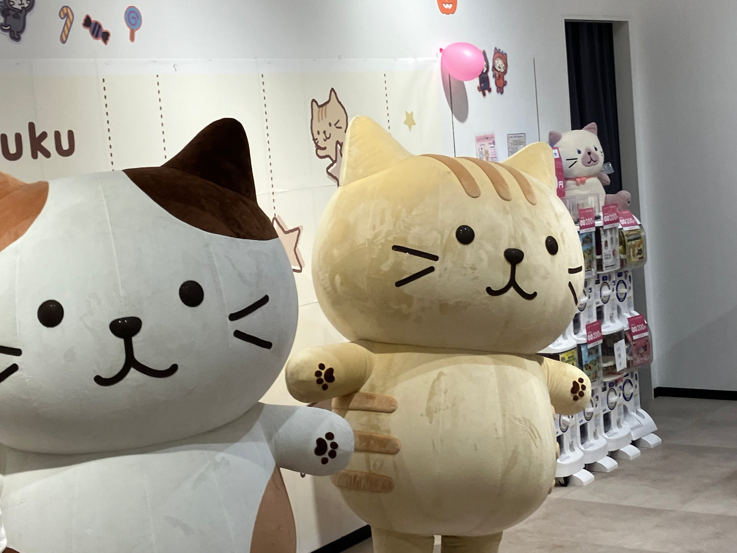 HAPiNS可愛雜貨首頁🐱