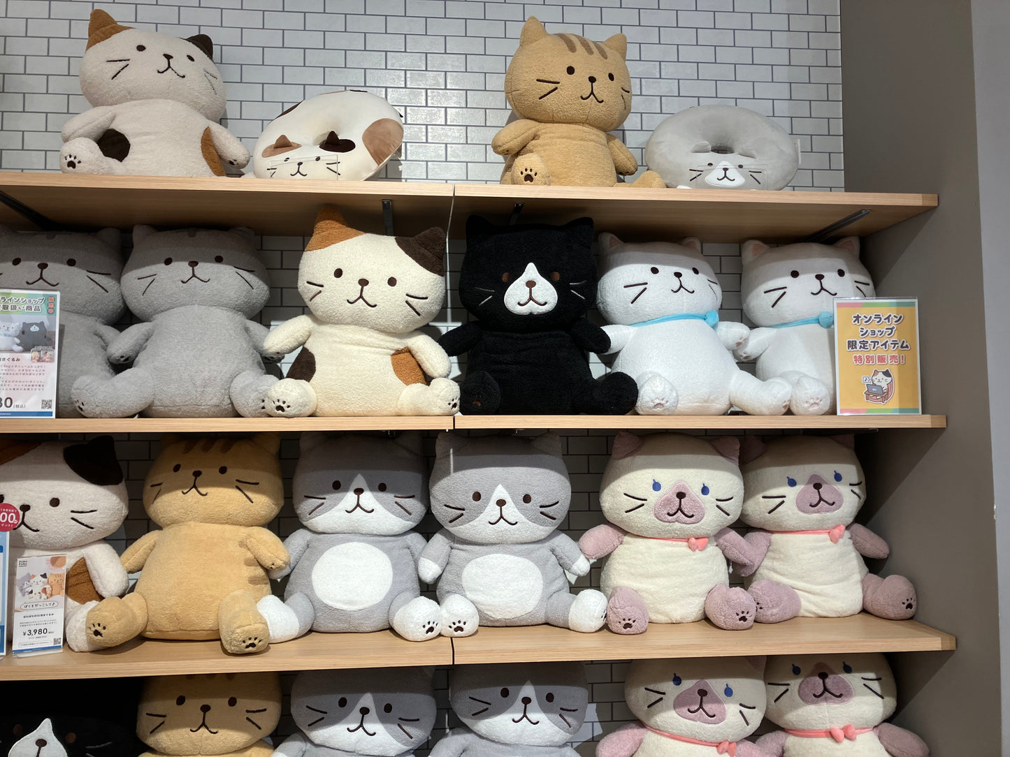 🔴(代購)HAPiNS Fuku Fuku Nyanko大娃娃