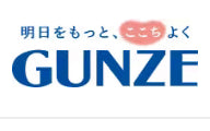 GUNZE郡是精緻貼身衣物